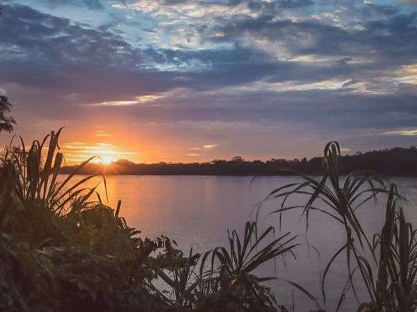 La Amazonía Peruana, una alternativa para los amantes de la naturaleza