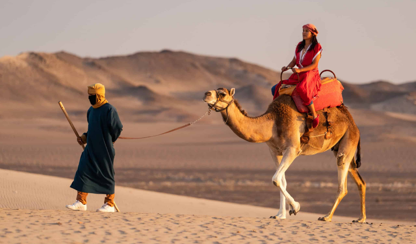Tour a la Huacachina, Ica y Paseo en Dromedarios desde Lima