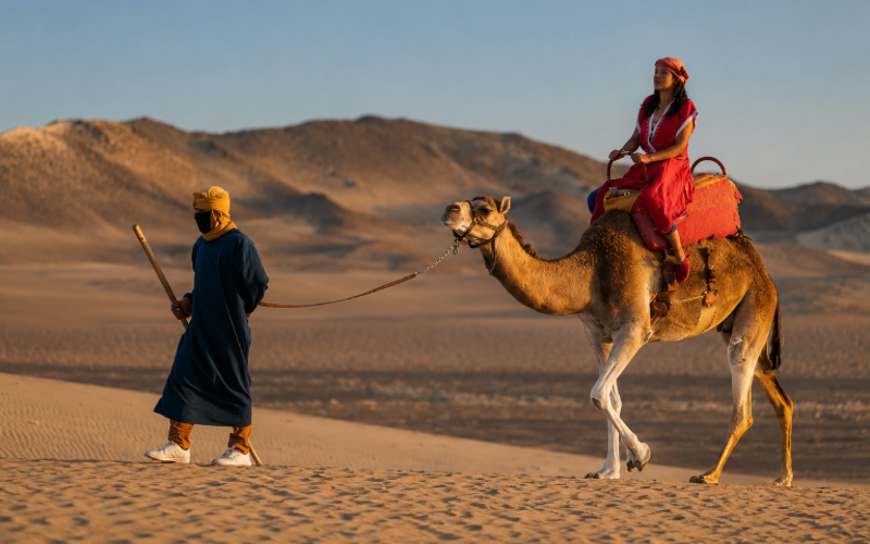 Tour a la Huacachina, Ica y Paseo en Dromedarios desde Lima