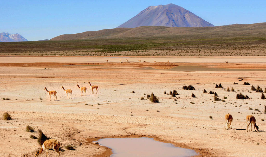 Tour del Valle del Colca, Visita los Miradores y Pueblos Tradicionales