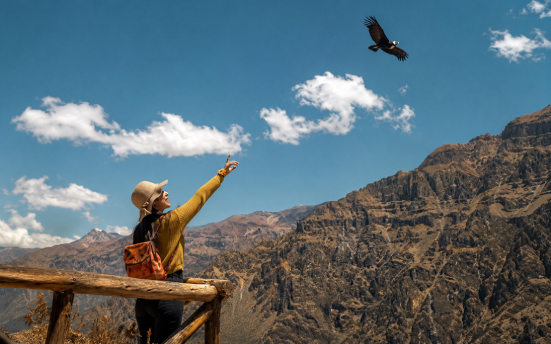 Tour del Valle del Colca