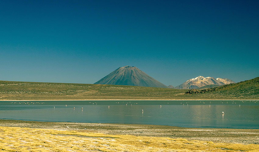 Tour reserva nacional y laguna de Salinas  