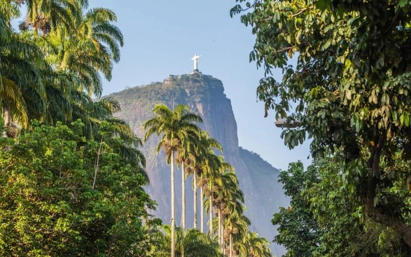 Visita Guiada al Jardín Botánico y Parque Lage